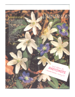 Tandberg Radionettebrosjyre - Brochure